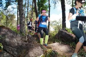 BIB: 
                            <button type="button" onclick="openModal(18916789)" class="btn btn-primary btn-sm float-right btn-popup" data-toggle="modal" data-target=".modal-high-quality">
                        <i class="fas fa-shopping-cart"></i> Add to Cart
                    </button>
                                            <button type="button" onclick="isThisMe(18916789, true)" class="btn btn-success btn-sm float-right btn-popup btn-isme hidden" data-toggle="tooltip" data-placement="bottom" title="นี่คือรูปของคุณใช่ไหม คลิกที่นี่เพื่อเอาเข้าอัลบั้ม">
                        <i class="fas fa-plus"></i> Add to album
                    </button>
                    <button type="button" onclick="isThisMe(18916789, false)" class="btn btn-warning btn-sm float-right btn-popup btn-isnotme hidden">
                        <i class="fas fa-ban"></i> Remove from album
                    </button>